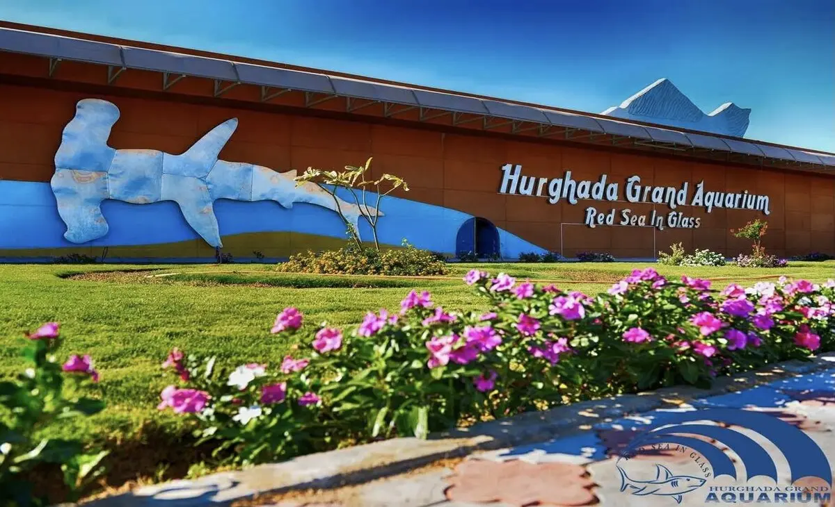 Semi-Submarine Trip at Hurghada Grand Aquarium