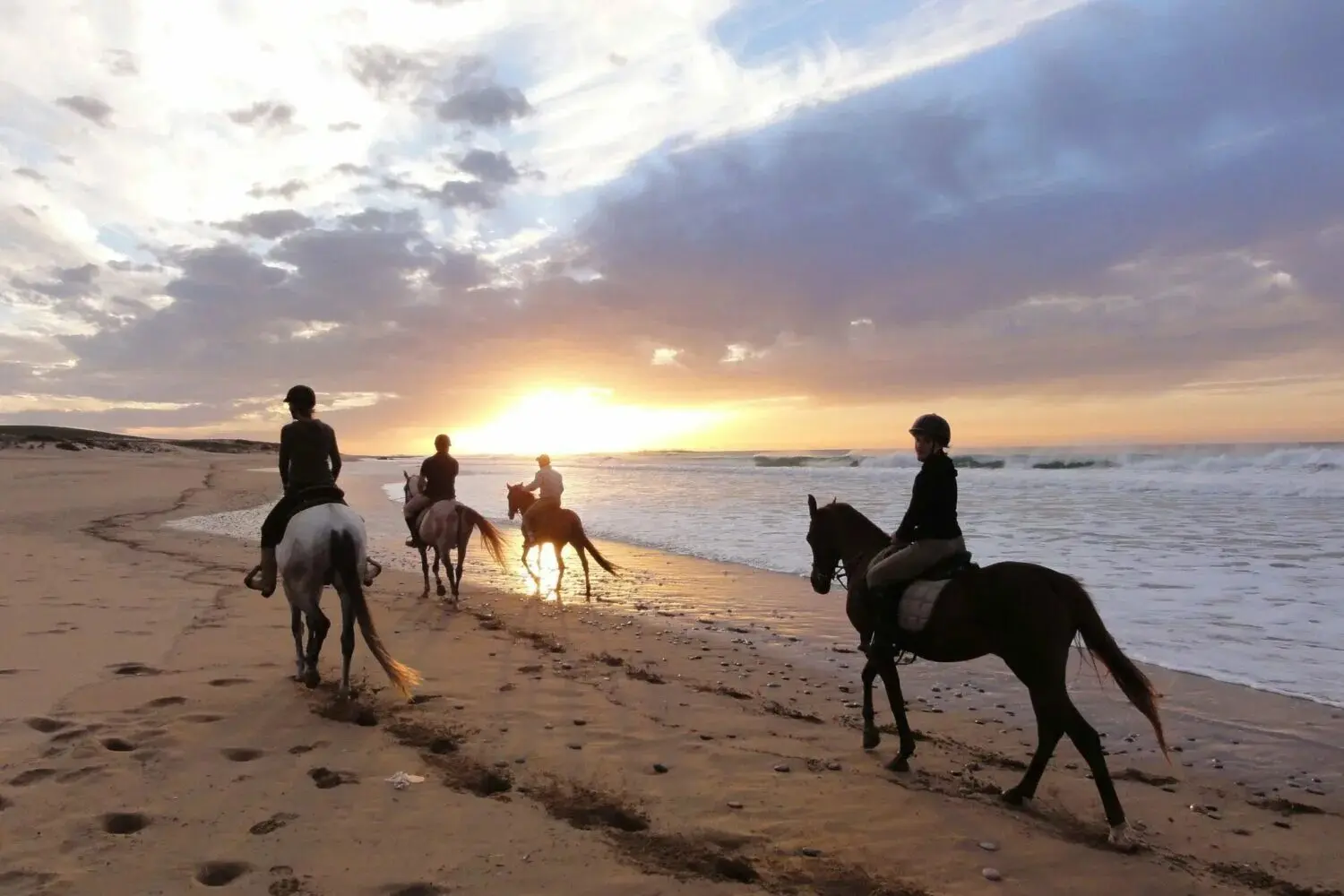 Horse riding Hurghada