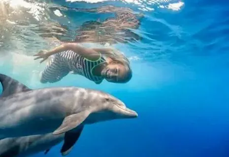 Dolphin House Hurghada Sea Trip